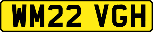 WM22VGH