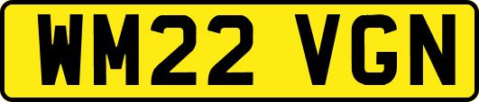 WM22VGN