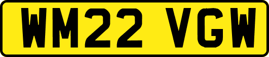 WM22VGW