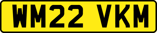 WM22VKM