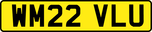 WM22VLU
