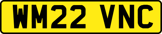 WM22VNC