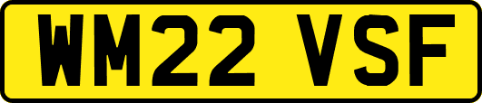 WM22VSF