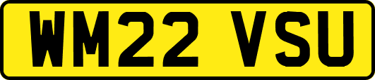 WM22VSU