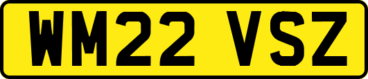 WM22VSZ
