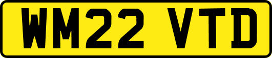WM22VTD