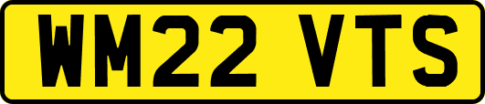 WM22VTS