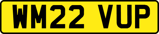 WM22VUP