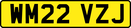 WM22VZJ