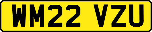 WM22VZU