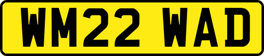 WM22WAD