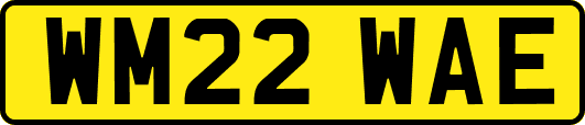 WM22WAE