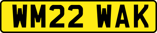 WM22WAK