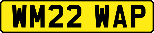 WM22WAP