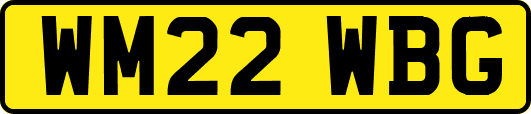 WM22WBG