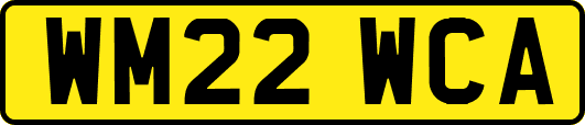 WM22WCA