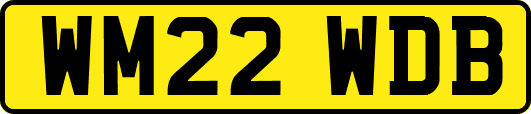 WM22WDB