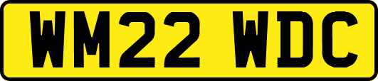WM22WDC