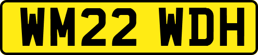 WM22WDH