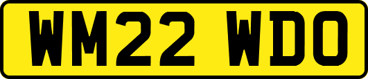 WM22WDO
