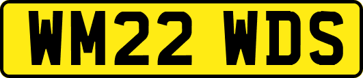 WM22WDS