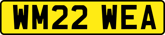 WM22WEA
