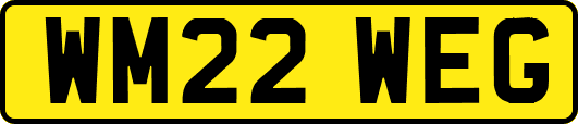 WM22WEG