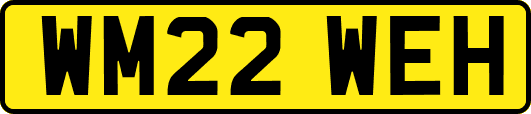 WM22WEH