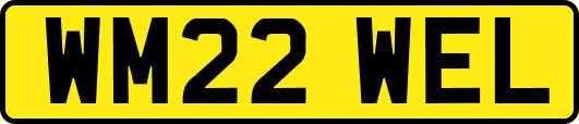 WM22WEL