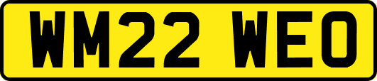 WM22WEO