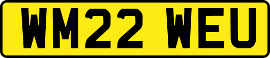 WM22WEU