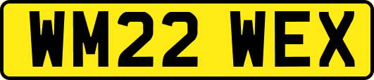 WM22WEX