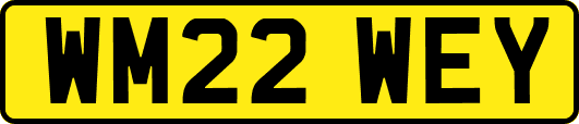 WM22WEY
