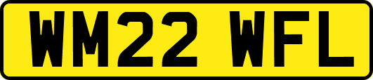 WM22WFL