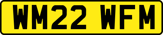 WM22WFM
