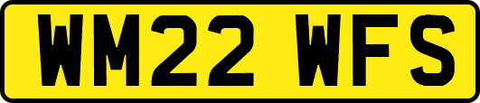 WM22WFS