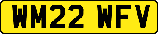 WM22WFV