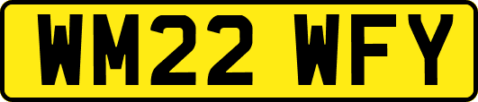 WM22WFY
