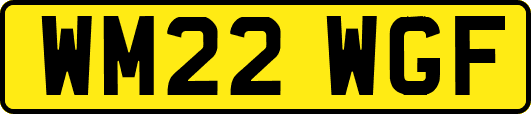 WM22WGF
