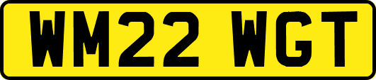 WM22WGT