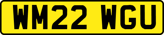 WM22WGU