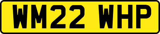 WM22WHP
