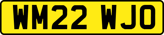 WM22WJO