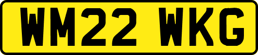 WM22WKG