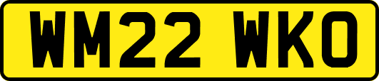 WM22WKO