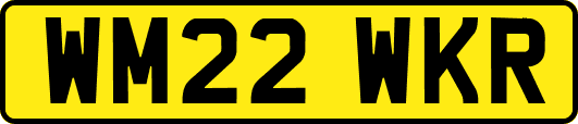WM22WKR
