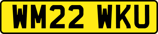 WM22WKU