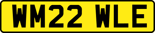 WM22WLE