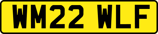 WM22WLF