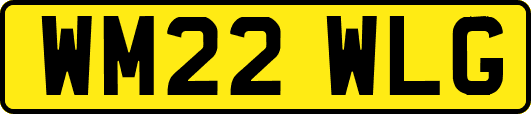 WM22WLG